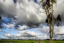 亿万28官网：[高尔夫]肯尼亚公开赛克鲁斯维克夺首胜 金子豪首进前十.