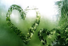 绿色亚冬:老场馆“焕新”升级,改造亮点知多少?新华网.