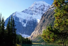 祝贺!中国游泳队再进3金2银人民日报客户端.