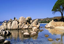 2025外战赛历:国足冲击美加墨 青少年争世青世少.